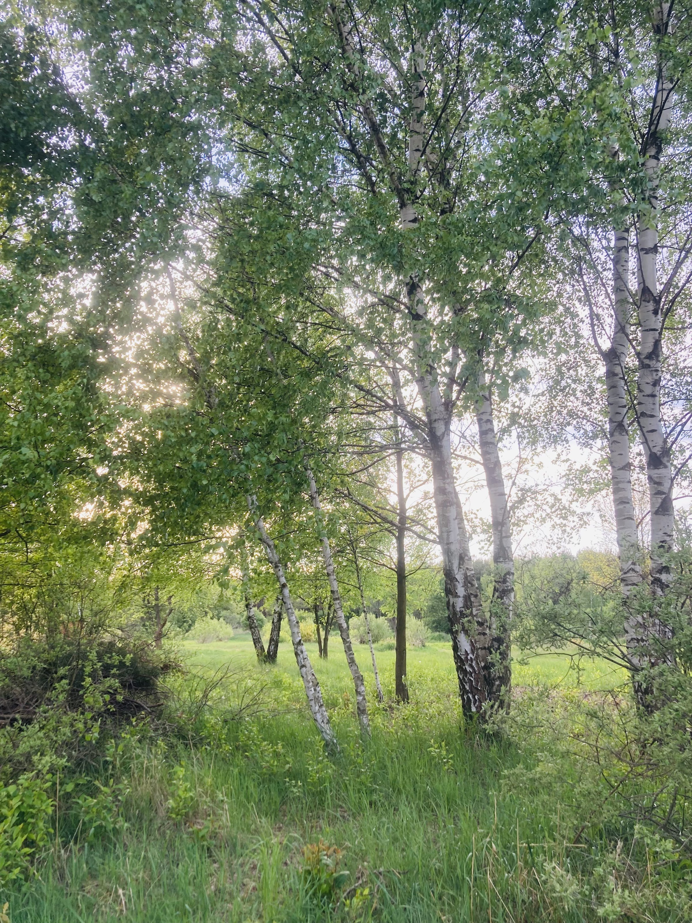 Garnek - Przystań Jura Kajaki